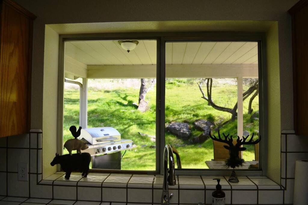 a kitchen window with a view of a yard at Blue Jay Paradise in Three Rivers