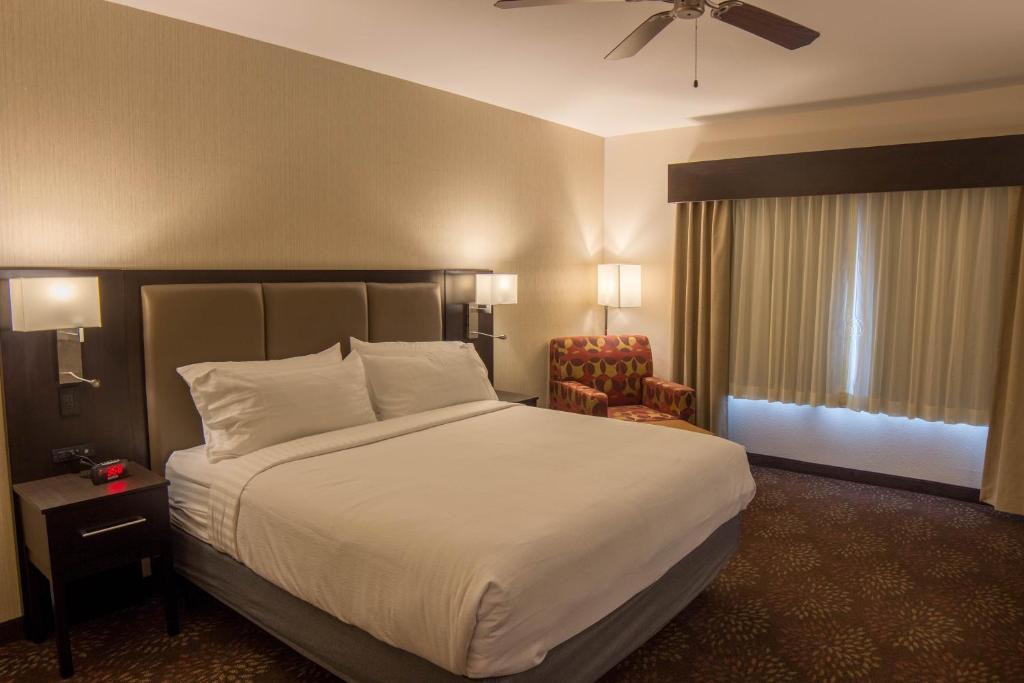 Holiday Inn Trophy Club by IHG photo