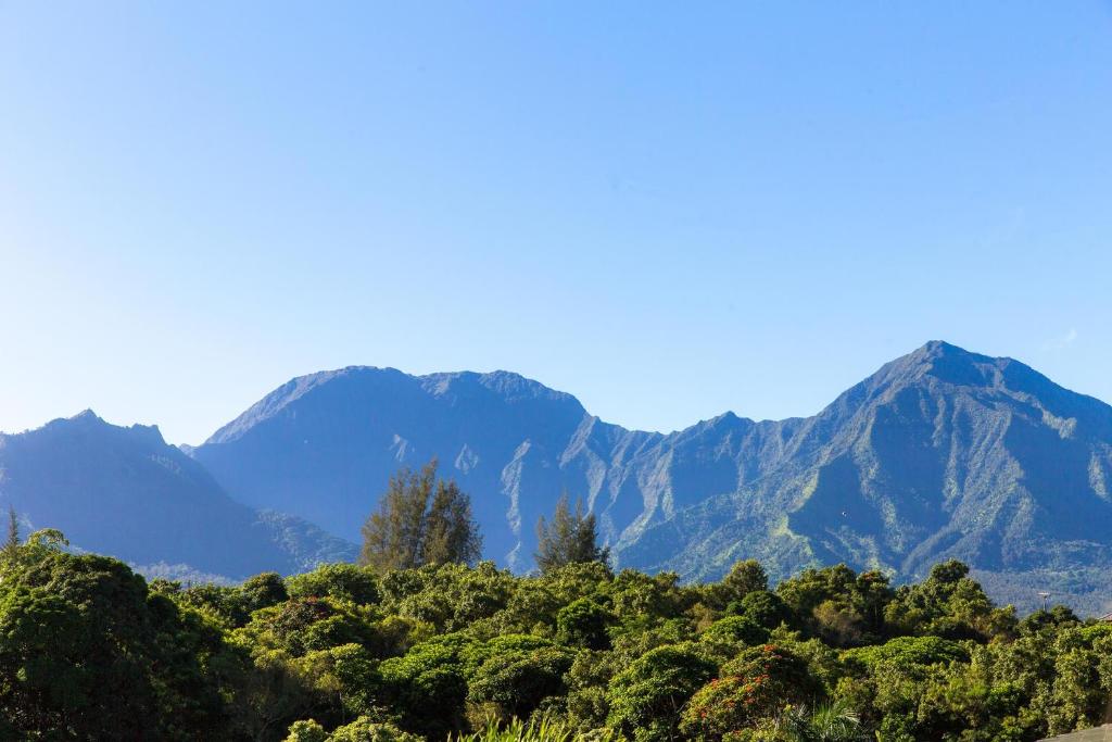 una cordillera con árboles y montañas en el fondo en Villas of Kamalii 47 home en Princeville