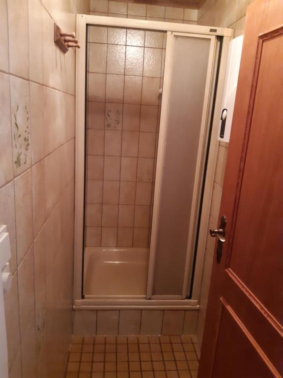 a shower with a glass door in a bathroom at Appartements direkt am See in Grundlsee