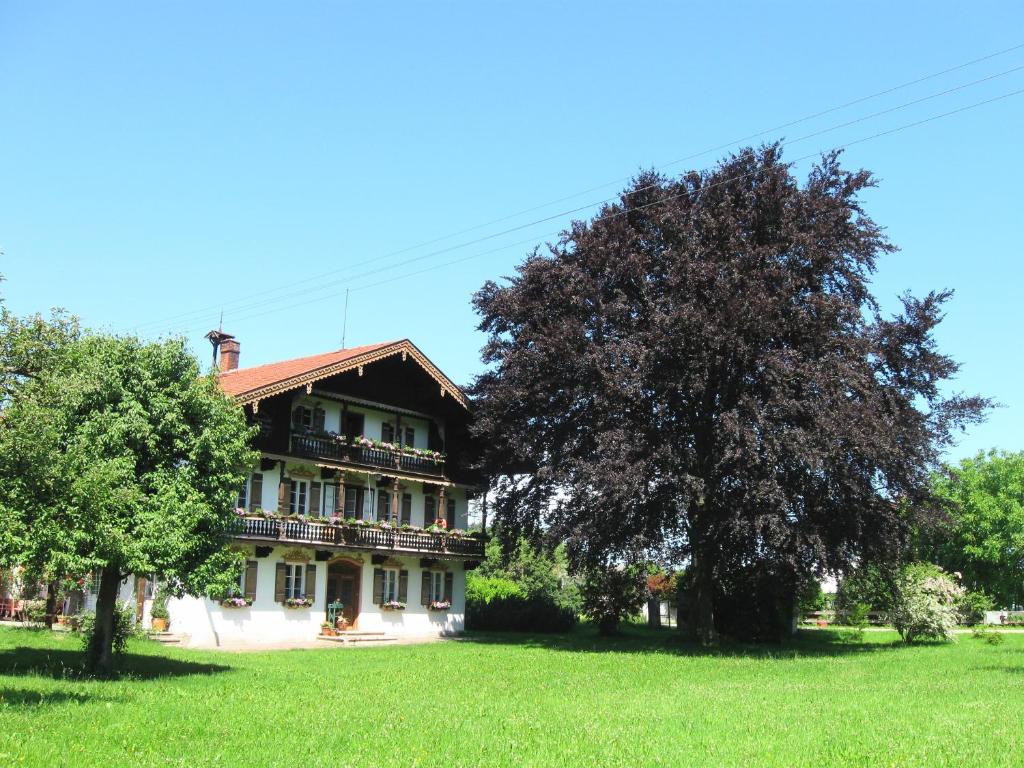 Saliterhof في Warngau: منزل كبير فيه شجرة في حقل