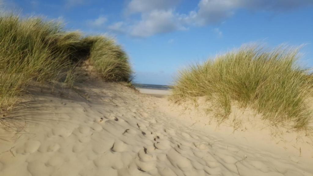 a sandy path through the grass on a beach at Flint Cottage in Gayton