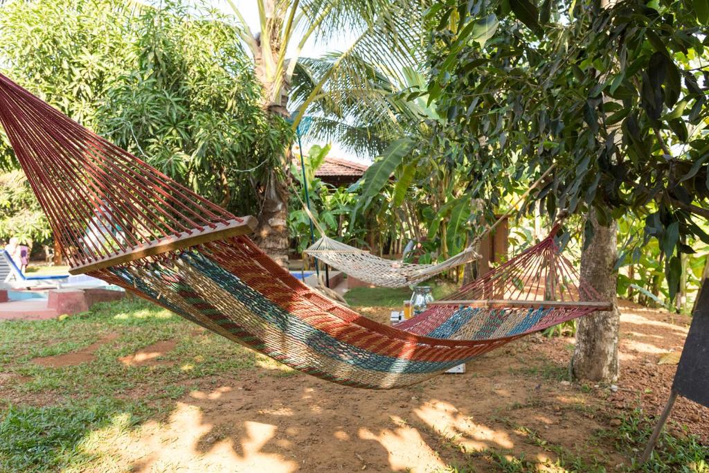 Zahrada ubytování The Hammock Goa