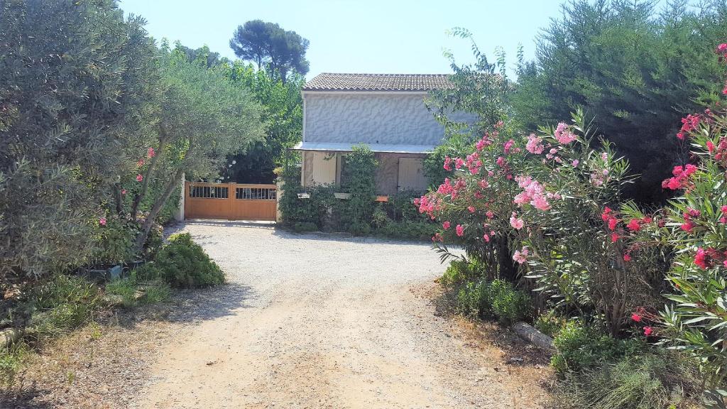 un chemin de terre menant à une maison fleurie dans l'établissement LES LAURIERS, au Castellet