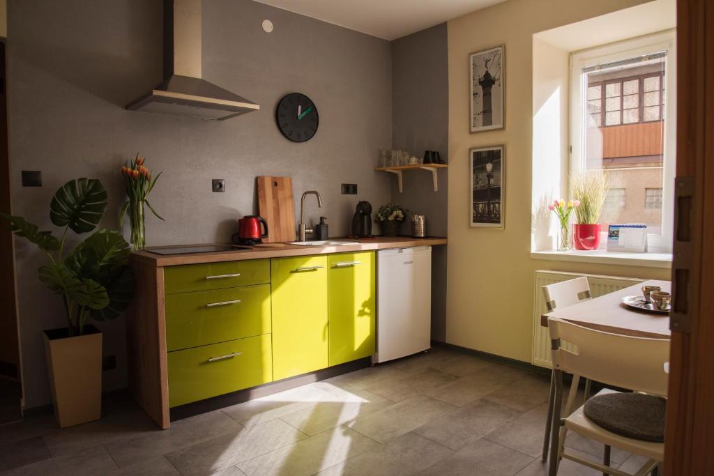 Kuchyň nebo kuchyňský kout v ubytování Apartmán u Horynů - Hýblova