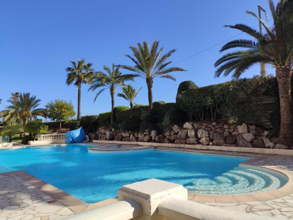 une piscine avec des palmiers et un mur de rochers dans l'établissement L'Estérel, à Cannes
