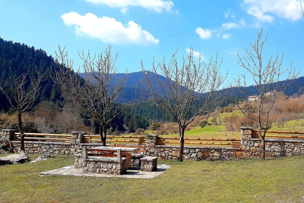 Príroda v okolí horskej chaty