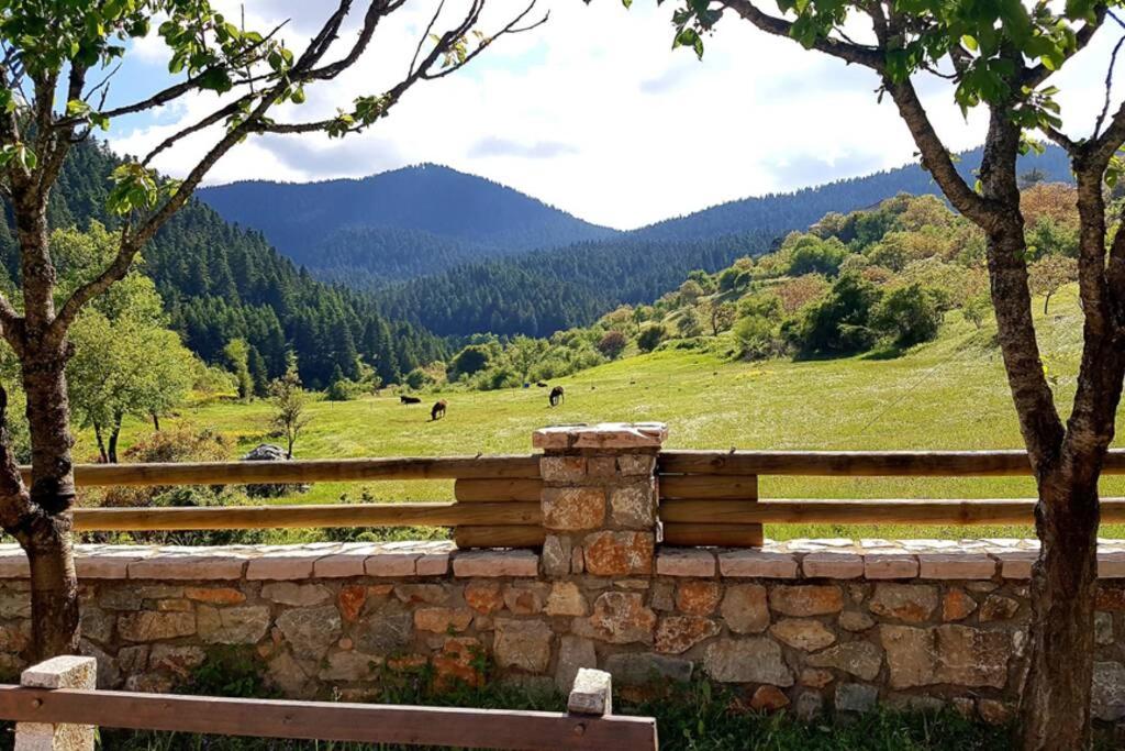 Príroda v okolí horskej chaty