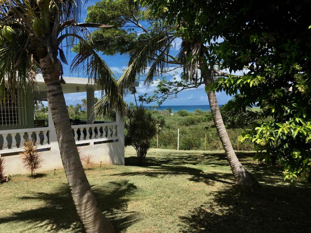 une maison avec des palmiers et l'océan en arrière-plan dans l'établissement Tranquility by the Sea, à Vieques