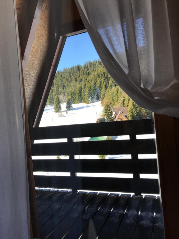 Příroda nedaleko apartmánu