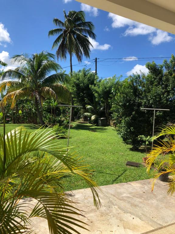 a view of a yard with palm trees and grass at La Colline Business & Tourisme in Le Lamentin