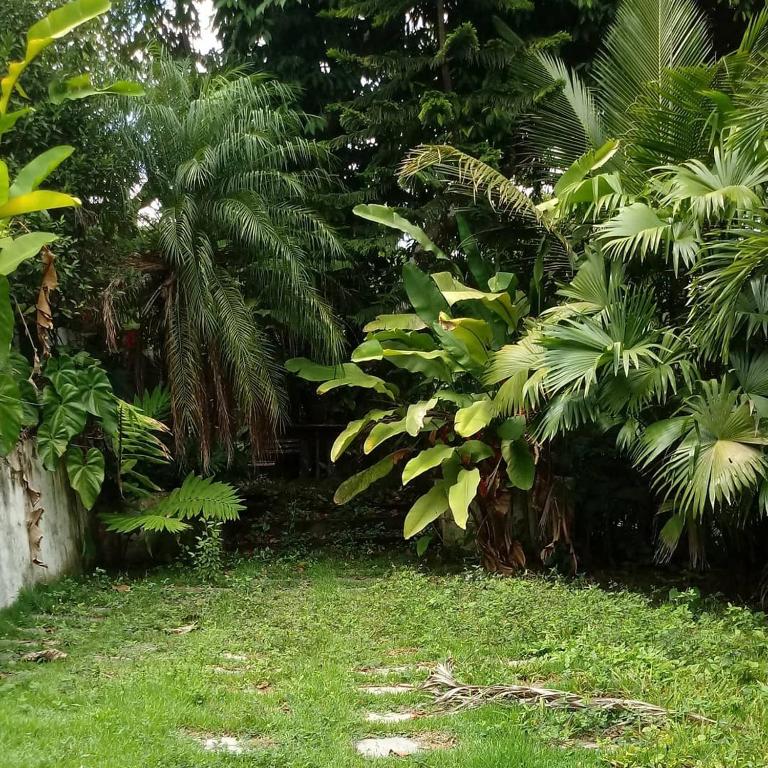  Casa do miron