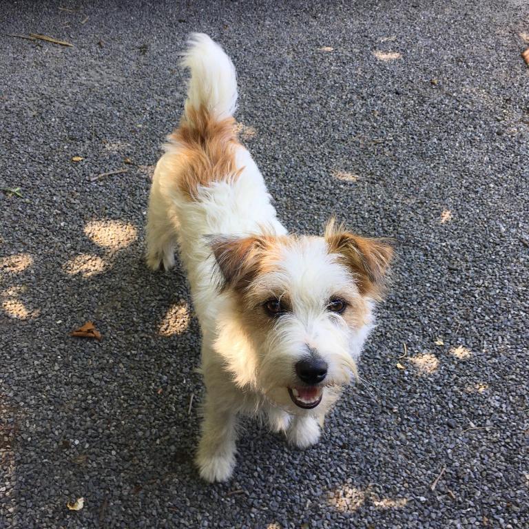 Te Kopura Lodge - Resim 10