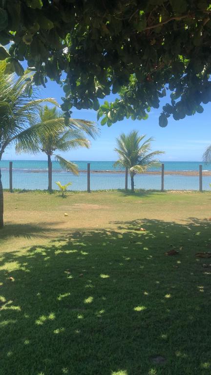 Pé na Areia-Arraial da Ajuda-Porto Seguro