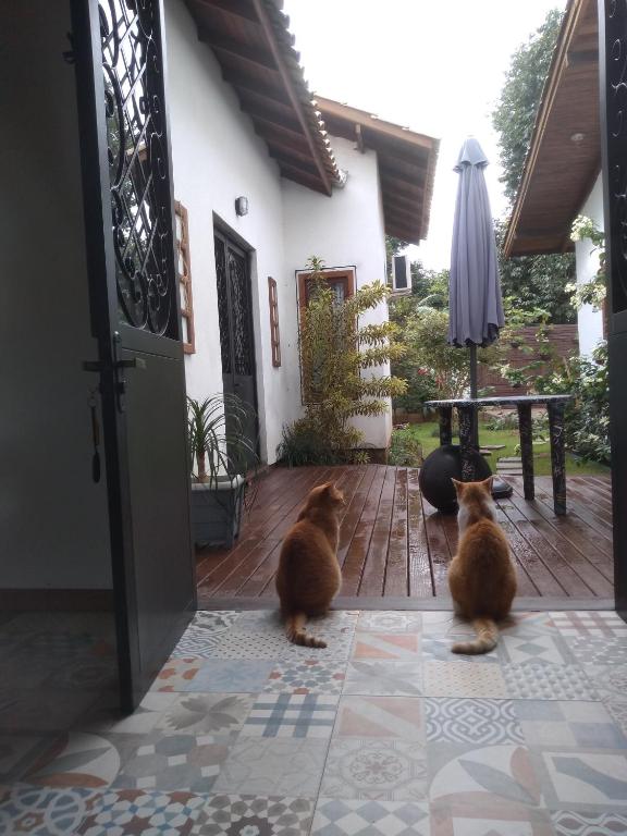  Aconchego e carinho