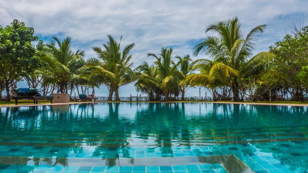 a large swimming pool with palm trees in the background at Soul Wellness and Ayurveda Resort in Dickwella