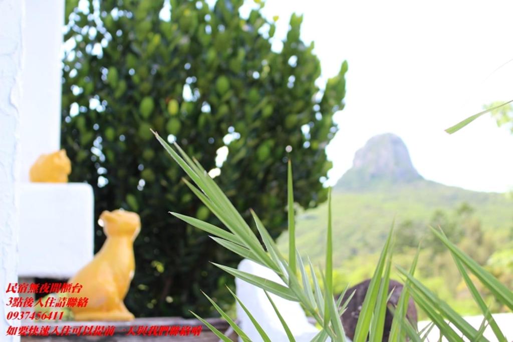 a cat figurine sitting next to a plant at 墾丁愛情海民宿 in Kenting