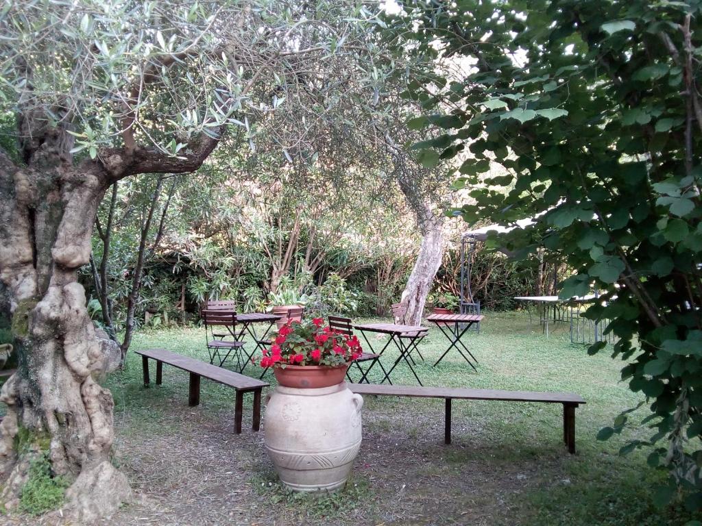 un parco con panchine, un vaso di fiori e un albero di Gli Ulivi Bed & breakfast a Fosdinovo