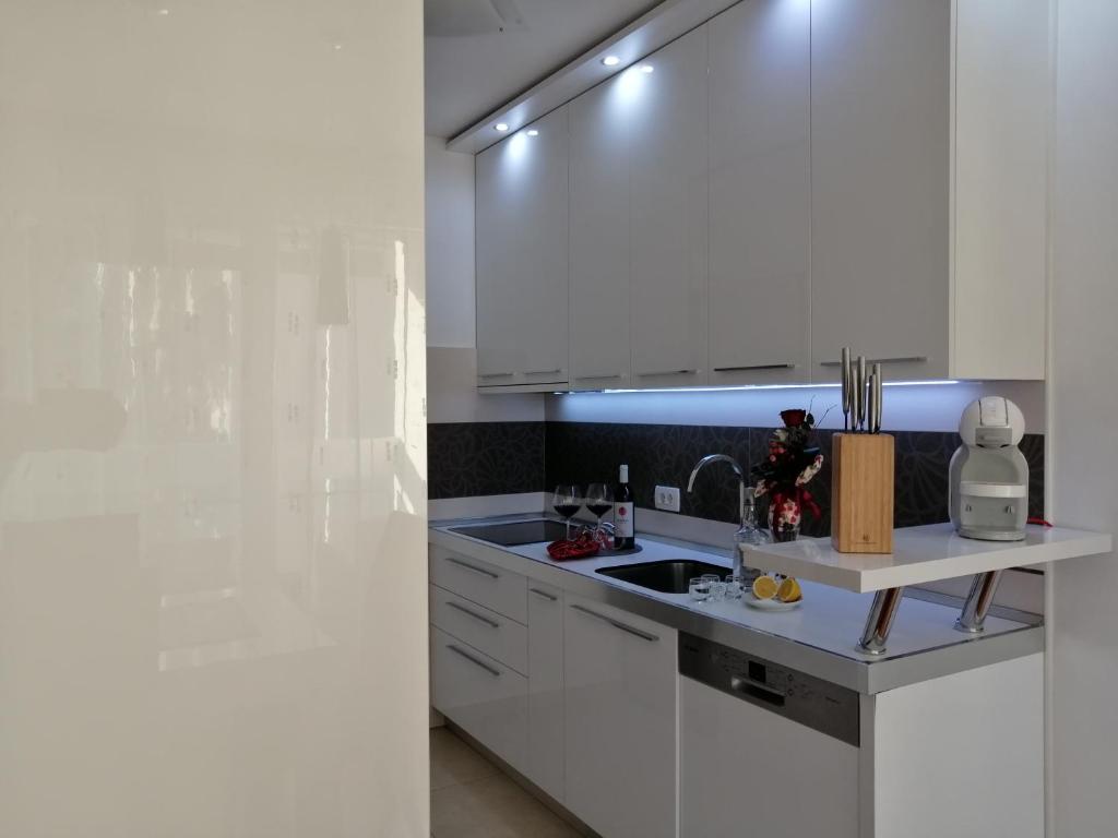 Kuchyňa alebo kuchynka v ubytovaní Apartment Petar