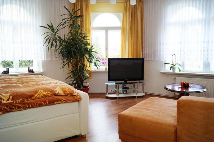 a bedroom with a bed and a flat screen tv at Pension und Ferienwohnung Stadt Altenburg in Altenburg
