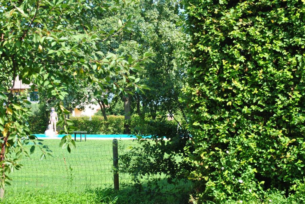 Vonkajšia záhrada v ubytovaní Agriturismo L'Albara - Wines, Pool & SPA