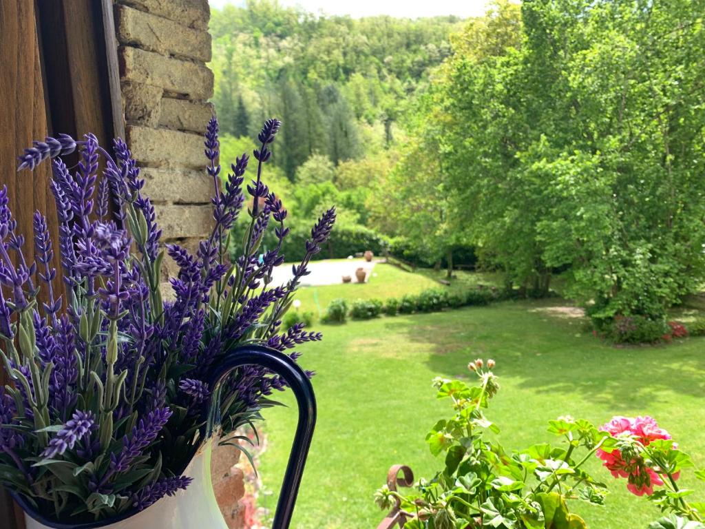 A garden outside Relax totale nel Bosco Lucca