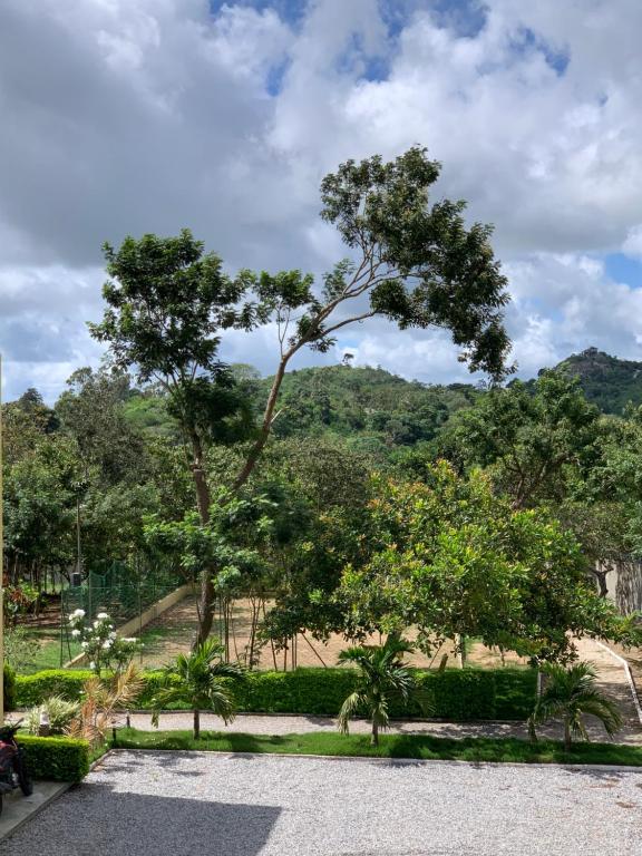  flat em serra negra - bezerros