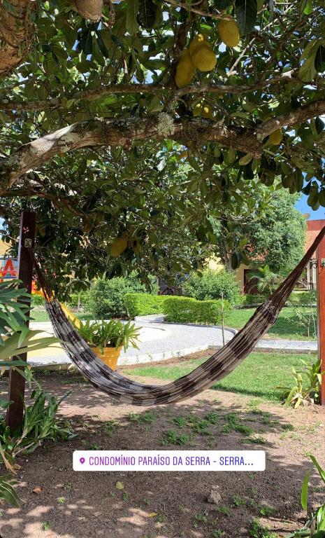  flat em serra negra - bezerros