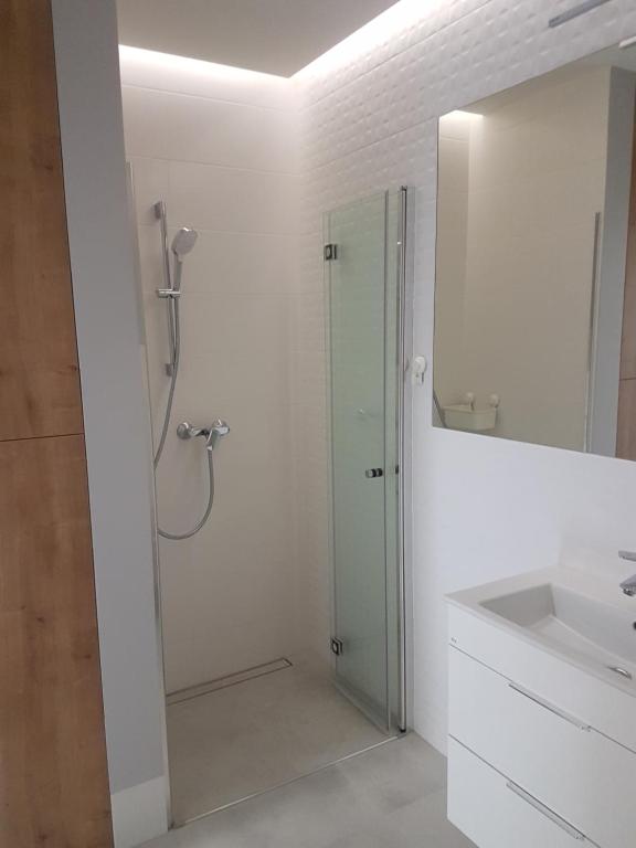 Apartament Jasińskiego z ogrodem - Appartement Met één Slaapkamer