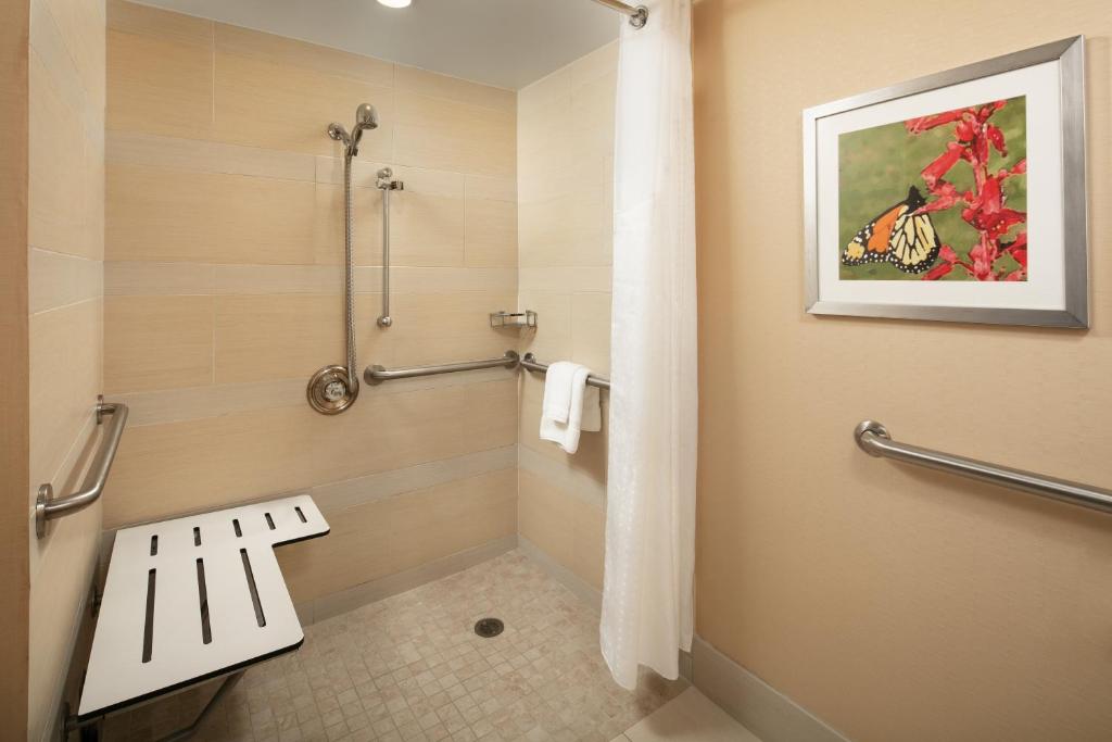 Holiday Inn Austin -Town Lake, an IHG Hotel - 