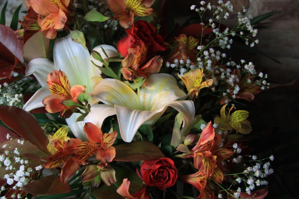 Hôtel des Arts - Resim 25