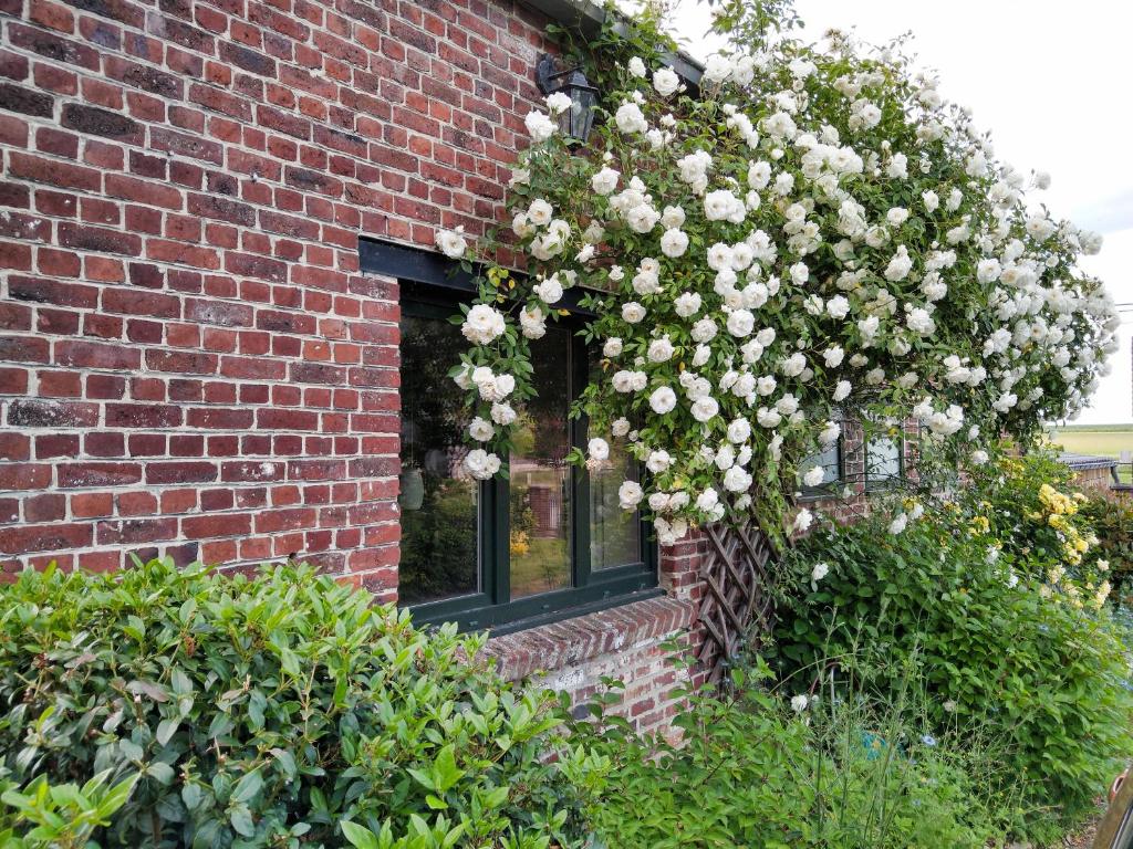 une couronne de fleurs blanches sur le côté d'un bâtiment en briques dans l'établissement Gîte rural Les petites têtes, à Leuze-en-Hainaut