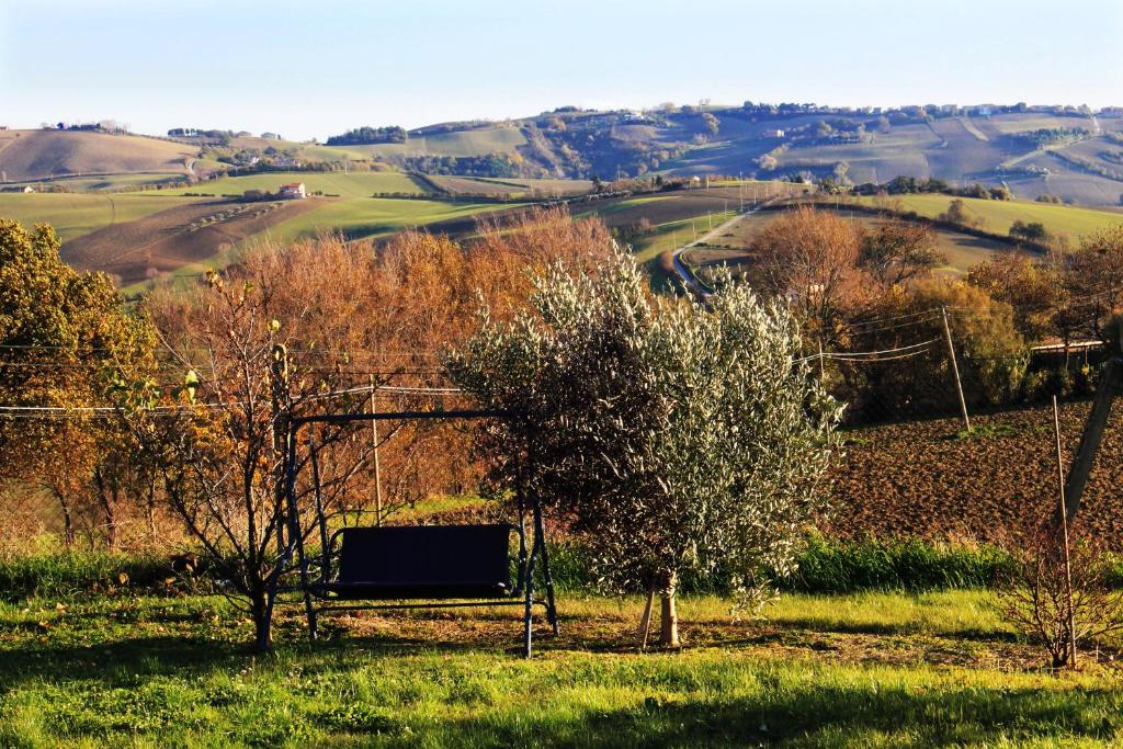Príroda v okolí of the country house