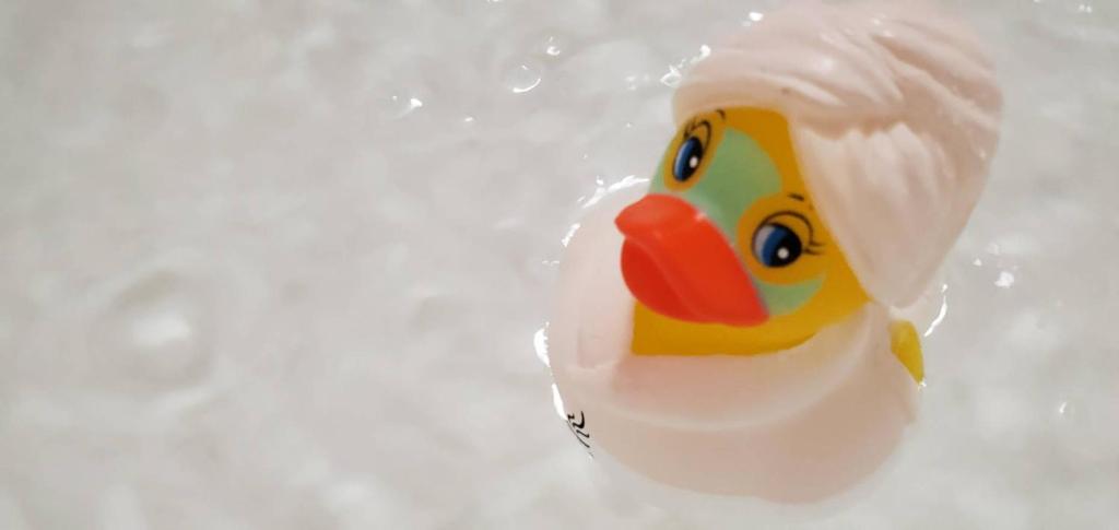 Zvířata v hodinového hotelu nebo okolí