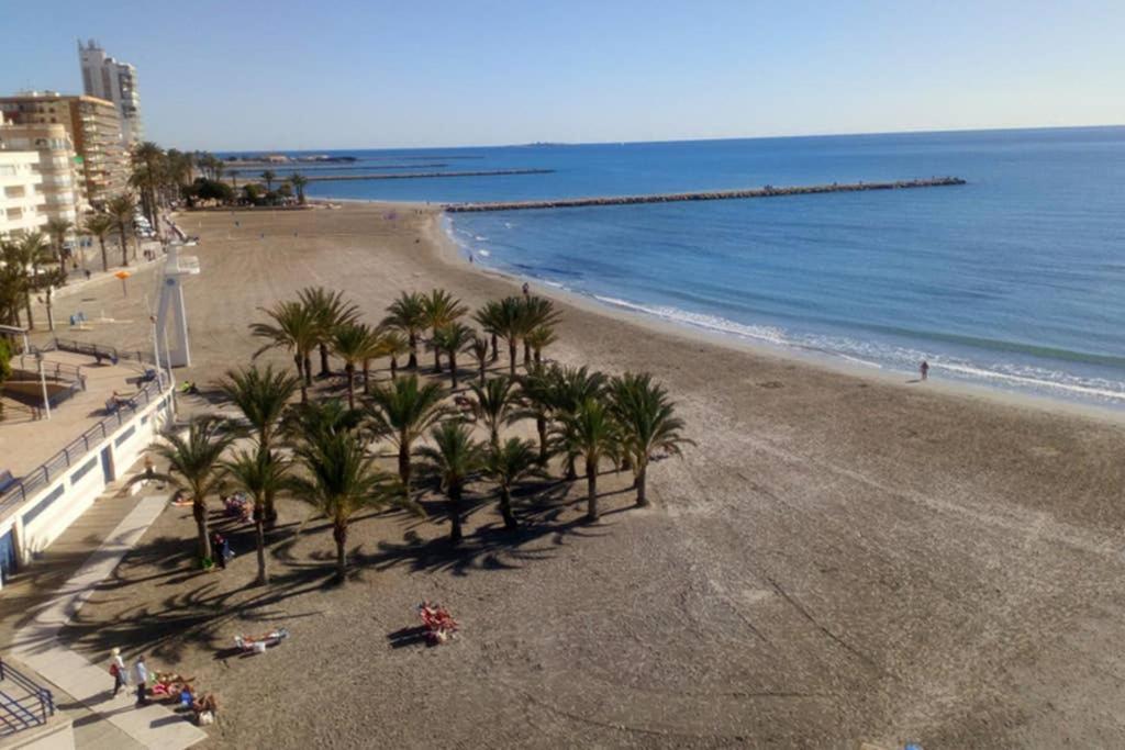 een uitzicht op een strand met palmbomen en de oceaan bij Apartamento centrico in Santa Pola