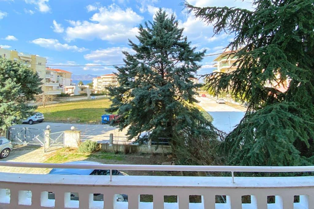 a white fence and a pine tree on a street at Art decor luxury apartment in Komotini