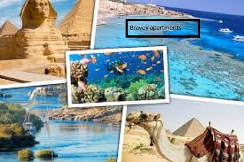 a collage of pictures of sights and monuments at Bravey Apartments in Hurghada