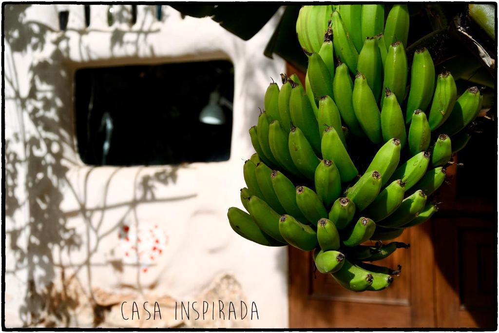 Fotografie z fotogalerie ubytování Casa Inspirada v destinaci Los Estancos