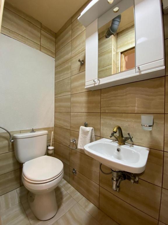 Koupelna v ubytování Viktor Rooms