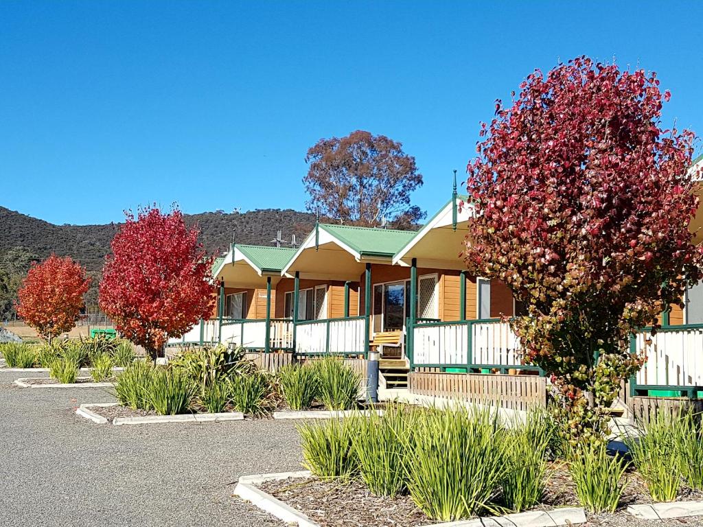 une rangée de maisons avec des arbres à feuilles rouges dans l'établissement Canberra Carotel Motel, à Canberra