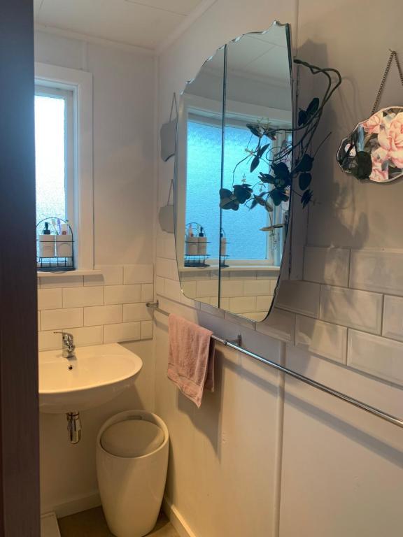 a bathroom with a sink and a mirror at Cooper's Cottage in Nelson