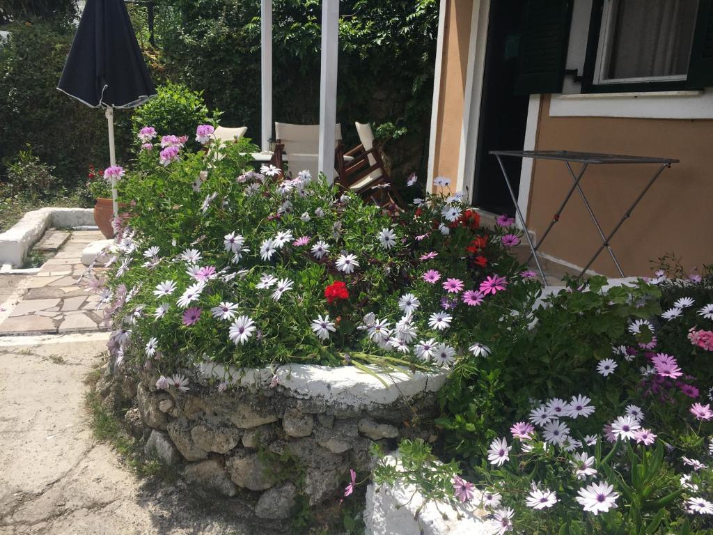Ogród w obiekcie Villa Stephanie