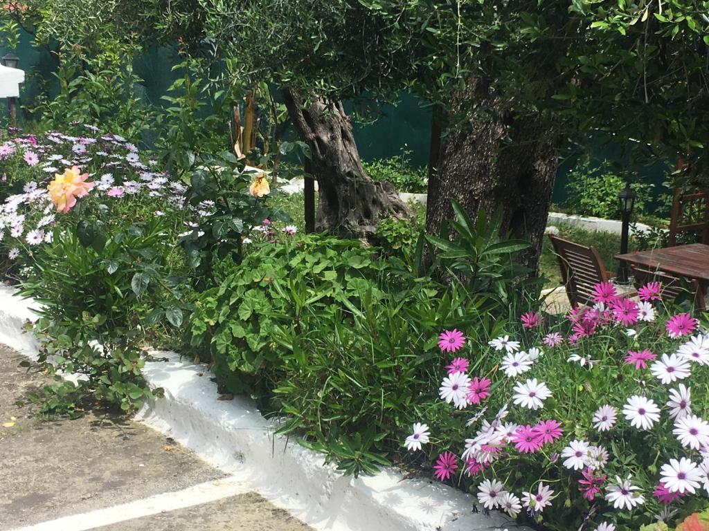 Ogród w obiekcie Villa Stephanie