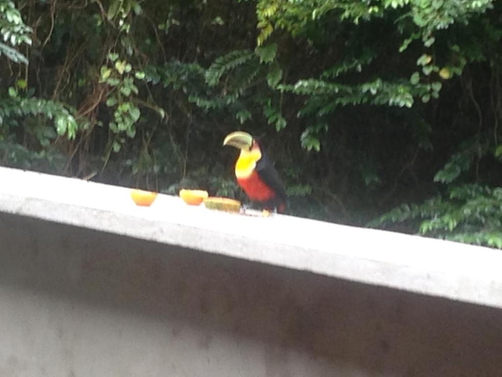  Linda Casa em Boiçucanga