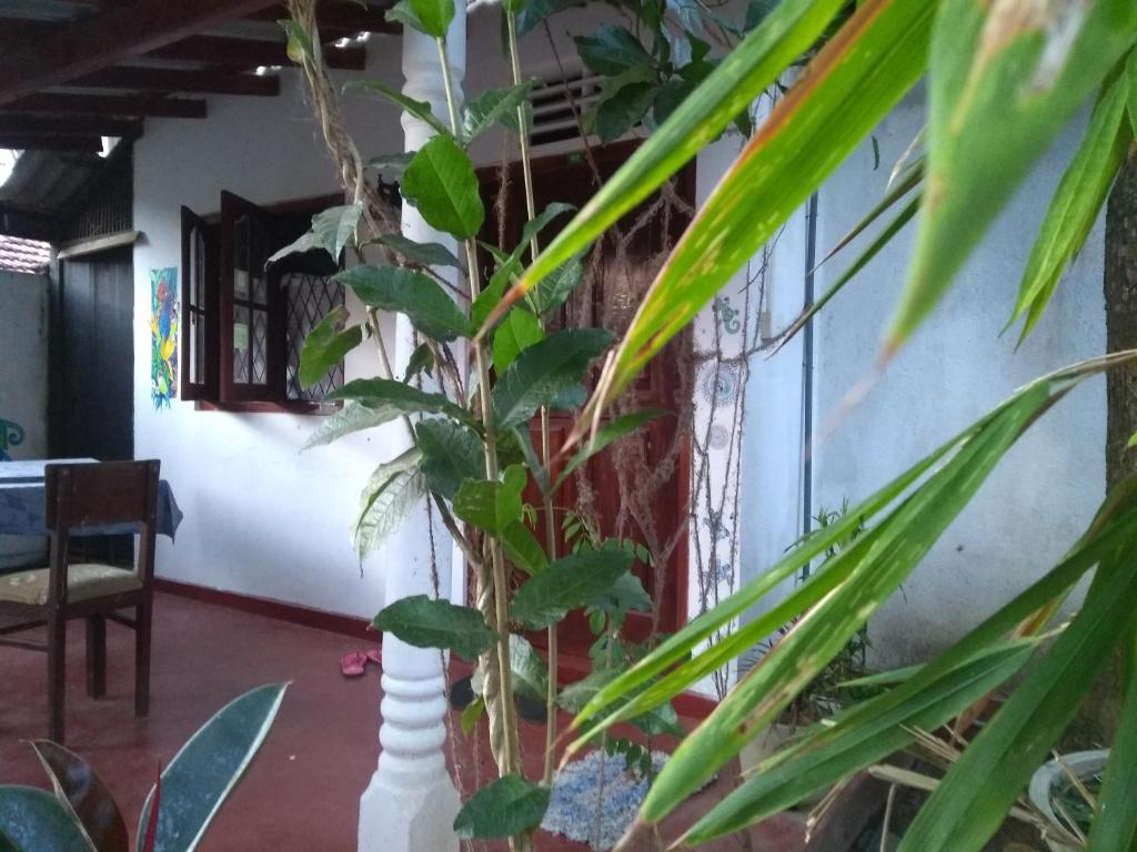 Posezení v ubytování Nature Inn