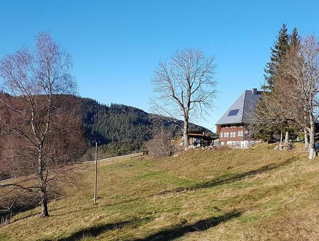 ein Haus auf einem grasbewachsenen Hügel mit Bäumen in der Unterkunft Feißesberghof in Triberg