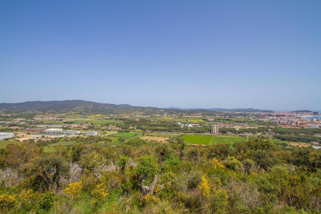 Príroda v okolí vily