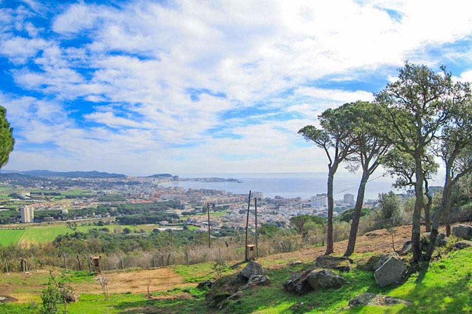 Príroda v okolí vily