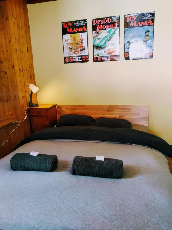 Photo de la galerie de l'établissement Hôtel Pension du Lac Bleu, à La Gouille