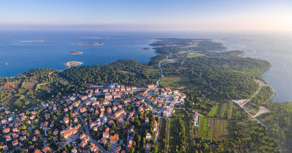 Príroda v okolí vily